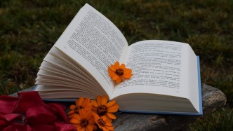 電影出品方能否任意以明星主創(chuàng)作為吸引投資的噱頭？