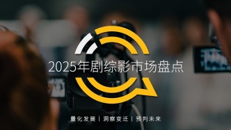 2025年剧综影市场盘点