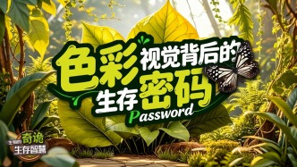 讓公牛憤怒的可能并不是紅色——視覺(jué)色彩背后的生存密碼