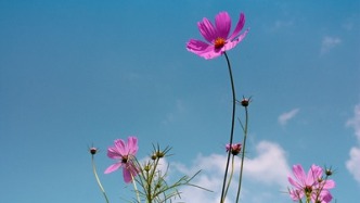 人民日报关注丨优化公共服务，农民生活更便利（深阅读·创造乡村优质生活空间）