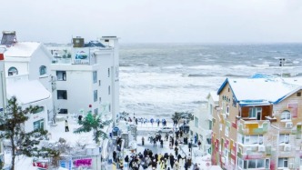 岁暮天寒，春回有期~