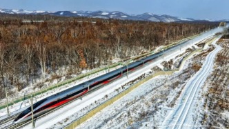 沒搶到票？沒有直達(dá)？這個(gè)操作一定要做！加開列車將優(yōu)先滿足這些旅客→