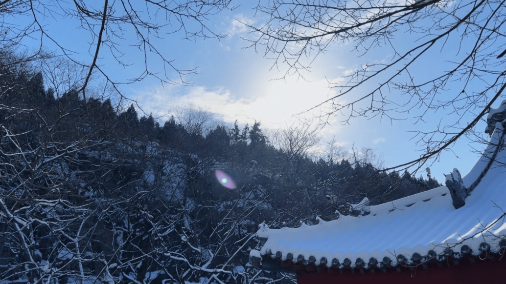 峄州印象 | 青檀落雪，不一样的世界