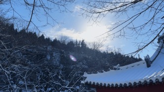 峄州印象 | 青檀落雪，不一样的世界