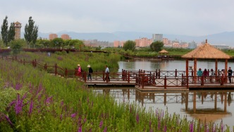 甘肃去年3项环境质量指标高于全国平均水平