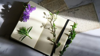 影片后期制作中，拒與導(dǎo)演配合是否構(gòu)成違約？（上）