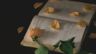 “一口氣帶你看完xx電影”被指控侵權(quán)，平臺(tái)該負(fù)責(zé)嗎？