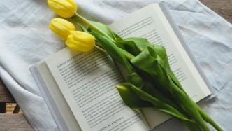 电影溢价后转让份额或被定性为欺诈？