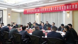 西湖法庭：代表建议落地有声 便民举措送法入村