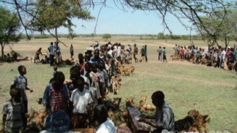 感染狂犬病后，再打疫苗還有用嗎？多數(shù)人都誤解了這件事！| 科學(xué)世界·問答