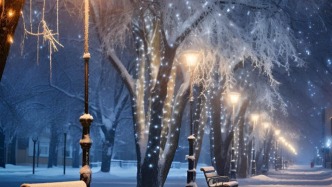 一朵一朵雪花落下，这个夜晚，真美……