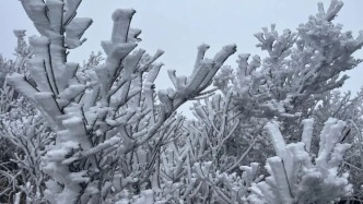 粵北已 “冰天雪地”！廣東陽(yáng)光和回溫何時(shí)來(lái)？