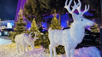 冬夜有約，長(zhǎng)春這條街九重浪漫一鏡收！