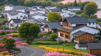 走在鄉(xiāng)間小路上，留下美好畫面