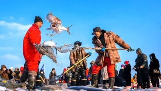 新華每日電訊：冰湖騰魚冬捕熱