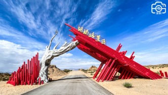 格爾木胡楊林，蒼茫遼闊胡楊遒勁，領(lǐng)略胡楊在沙漠中的頑強(qiáng)生命力