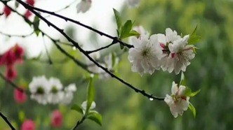 26-27日广东有小雨局部中雨