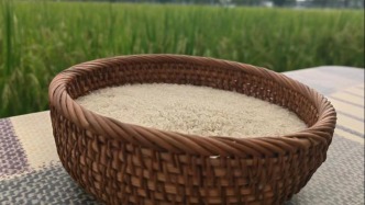 五連增！地理標(biāo)志“金名片”培育近萬億元“大產(chǎn)業(yè)”