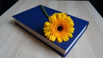 影片后期制作委托合同的合同性質(zhì)應(yīng)如何認(rèn)定？