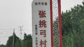 航拍美麗鄉(xiāng)村，陵城區(qū)臨齊街道張?zhí)艄迕利愶L(fēng)景，鄉(xiāng)村游