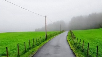 脾腎雙補羹，溫和調(diào)治重癥肌無力，每天1碗，臟腑調(diào)和、肢體有力