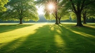 重慶上線師生心理健康服務(wù)平臺(tái)