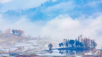 9天春節(jié)假，聰明酒店人已靠這招滿房溢價(jià)