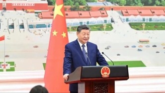 習(xí)近平主席引領(lǐng)中國外交新年開新局