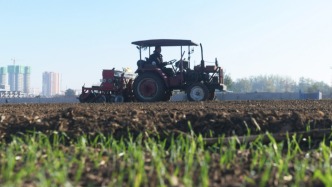 河北：糧食穩(wěn)產(chǎn)增產(chǎn) 飯碗端得更牢