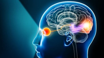 5年視神經(jīng)損傷后，干細(xì)胞注射治療6個月內(nèi)出現(xiàn)視力與視野改善