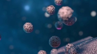 從研究到應(yīng)用：外泌體在自身免疫性甲狀腺疾病中的診斷與干預(yù)潛力