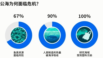 《公海条约》开始生效，下一步是什么？