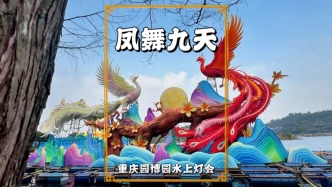 重慶園博園燈會(huì)：鳳舞九天燈組，以鳳鳴朝陽為靈感展示巴渝年味