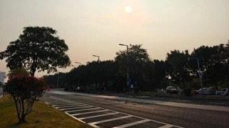 珍惜這兩天的陽光，因為......