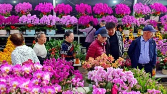 定了！肇慶多地迎春花市時(shí)間、地點(diǎn)→