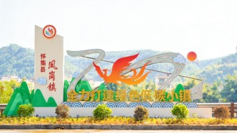 懷集鳳崗大變身！