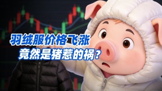 羽絨服價格飛漲，竟然是豬惹的禍？