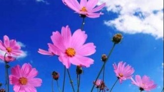 2025年西藏城鎮(zhèn)新增就業(yè)5.1萬人 應屆高校畢業(yè)生就業(yè)率超95%