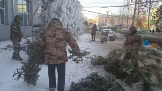 冰韻迎新春 同心筑美景