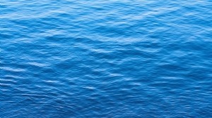 最近，啟明創(chuàng)投拿下5個(gè)人工智能IPO