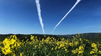 甘肃省省长任振鹤：加快构建黄河上游“一带四区多点”生态保护格局