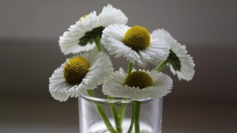 身心警報：讀懂抑郁癥、焦慮癥與軀體癥狀的“不同語言”