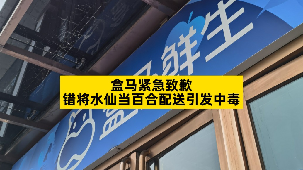 盒馬緊急致歉，錯將水仙當百合配送引發(fā)中毒