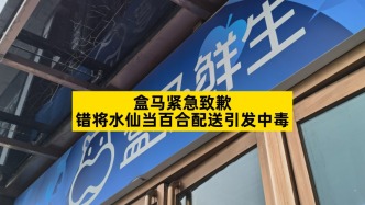 盒馬緊急致歉，錯(cuò)將水仙當(dāng)百合配送引發(fā)中毒