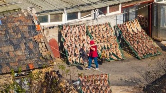 跟著“年年有余”尋山東，你有幾種答案？