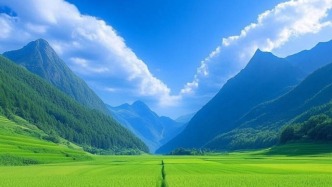 麥田是綠色的天使，讓大地充滿生機