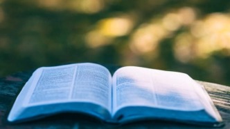 解約不退投資款，該約定屬于違約金條款還是霸王條款？