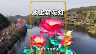 重慶園博園燈會(huì)：巨型水上荷花燈，荷寓清廉吉祥，魚(yú)兆年年有余