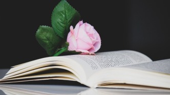 合同期內(nèi)影片未發(fā)行，損害賠償如何確定？（二）