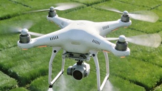 2025年我國農(nóng)業(yè)成績單：飯碗穩(wěn)穩(wěn)的，肉類多多的